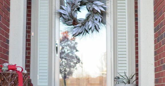 storm door promo